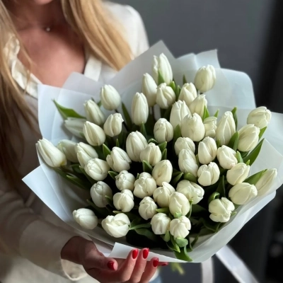 Монобукет белых тюльпанов сорта Антарктика Монобукет белых тюльпанов сорта Антарктика