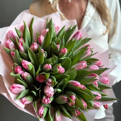 Букет розовых тюльпанов сорта Династия Букет розовых тюльпанов сорта Династия
