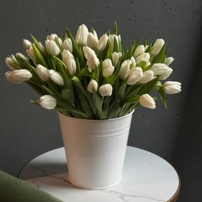 Охапка белых тюльпанов в ведре Охапка белых тюльпанов в ведре