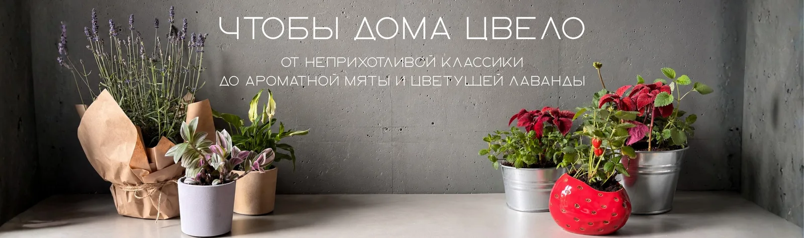 Цветочная подписка — охапка цветов раз в неделю, от 9 990 ₽