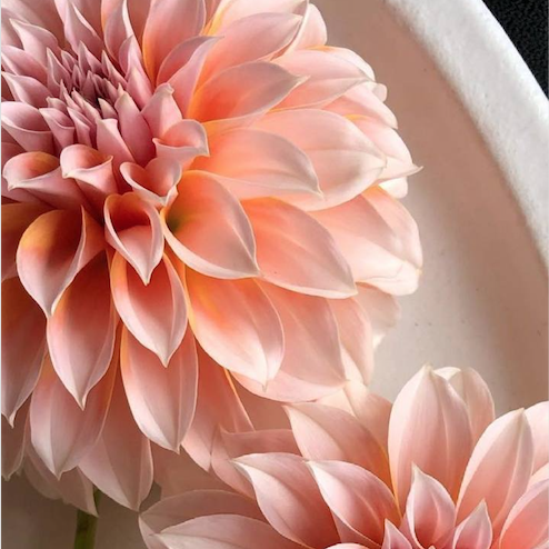 Ах, август! Ах, август!