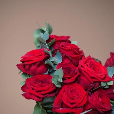 Букет невесты с бордовыми розами и эвкалиптом Букет невесты с бордовыми розами и эвкалиптом