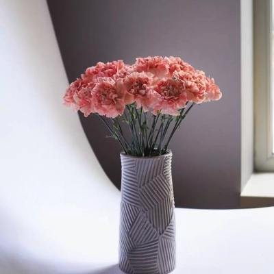 Букет из сортовых гвоздик карамельного оттенка Букет из сортовых гвоздик карамельного оттенка