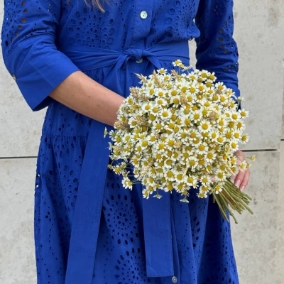 Свадебный букет "Воплощение нежности" Свадебный букет "Воплощение нежности"