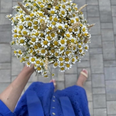 Свадебный букет "Воплощение нежности" Свадебный букет "Воплощение нежности"