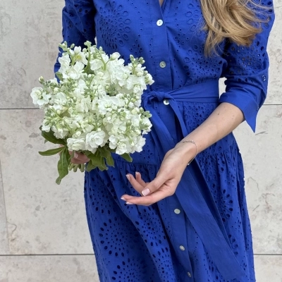 Букет невесты "Белоснежные цветы" Букет невесты "Белоснежные цветы"