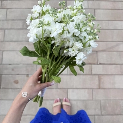 Букет невесты "Белоснежные цветы" Букет невесты "Белоснежные цветы"