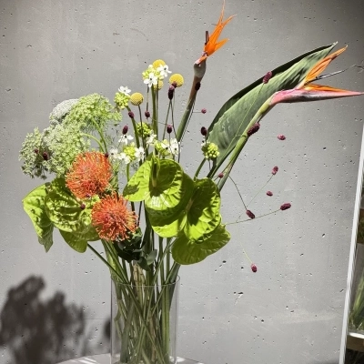 Интерьерный набор цветов #18 Интерьерный набор цветов #18