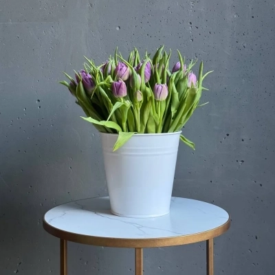 Охапка фиолетовых тюльпанов сорта Дабл Прайс в ведре Охапка фиолетовых тюльпанов сорта Дабл Прайс в ведре