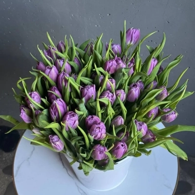 Охапка фиолетовых тюльпанов сорта Дабл Прайс в ведре Охапка фиолетовых тюльпанов сорта Дабл Прайс в ведре