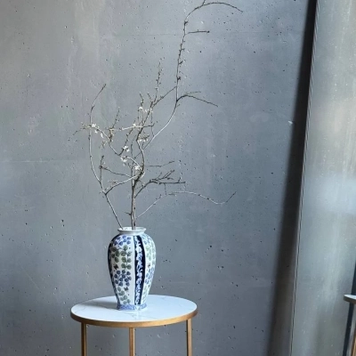 Ветки айвы для декорирования интерьера Ветки айвы для декорирования интерьера