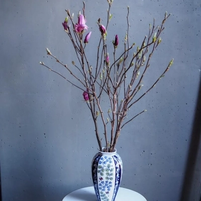 Ветки магнолии (Голландия) Ветки магнолии (Голландия)