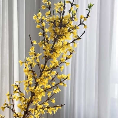 Ветки форзиции Ветки форзиции