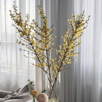 Ветки форзиции Ветки форзиции